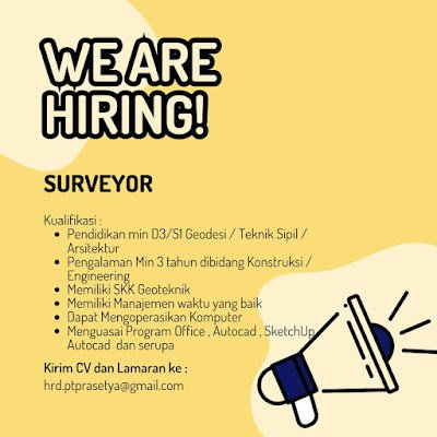 Surveyor