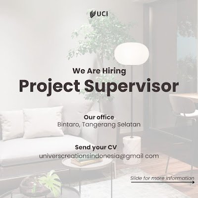 Project Supervisor
