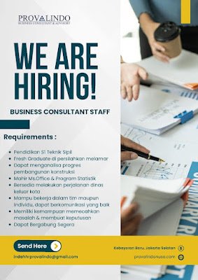 Business Consultant Staff
