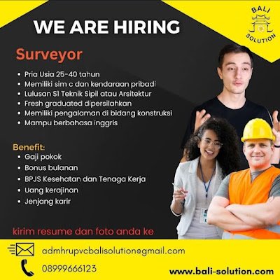 Surveyor
