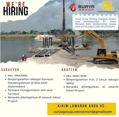 1. Surveyor